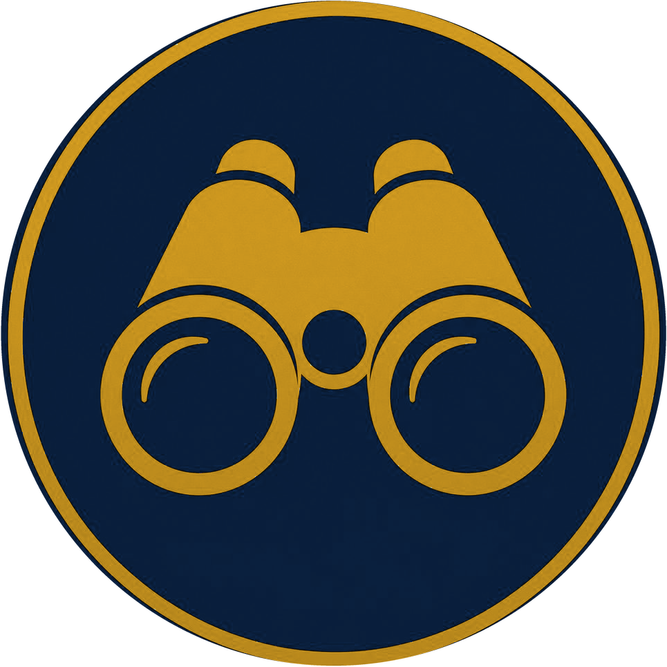 Vision
